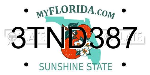 3TND387 Florida License Plate