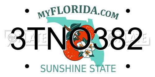 3TNO382 Florida License Plate