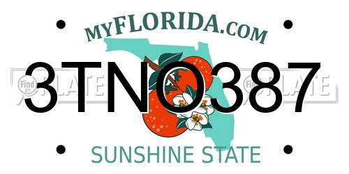 3TNO387 Florida License Plate