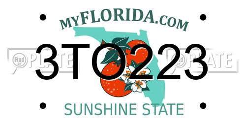3TO223 Florida License Plate