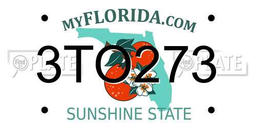 3TO273 Florida License Plate