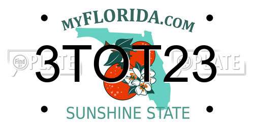 3TOT23 Florida License Plate