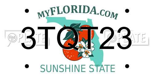 3TQT23 Florida License Plate