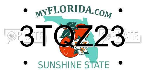 3TQZ23 Florida License Plate