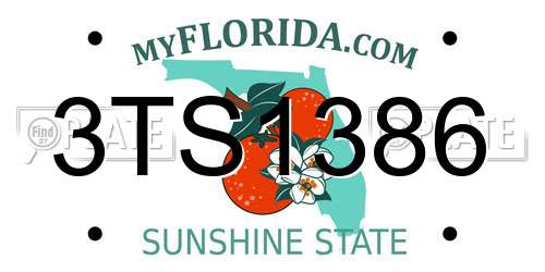3TS1386 Florida License Plate