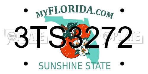 3TS3272 Florida License Plate