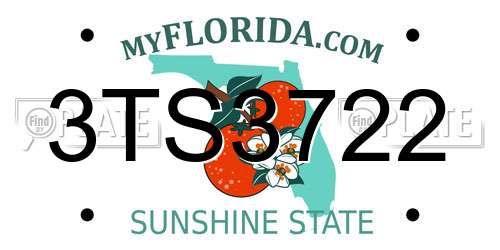 3TS3722 Florida License Plate
