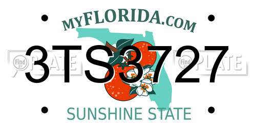 3TS3727 Florida License Plate
