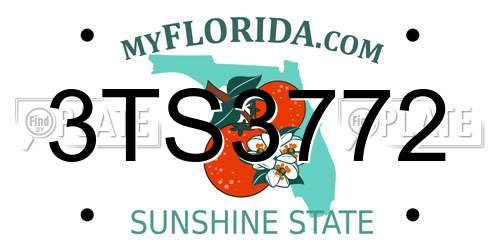 3TS3772 Florida License Plate