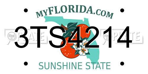 3TS4214 Florida License Plate