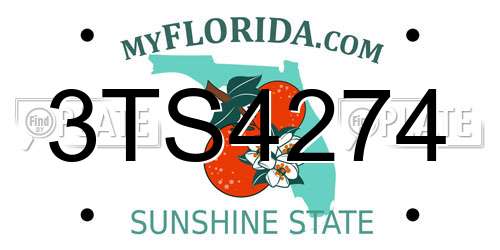 3TS4274 Florida License Plate