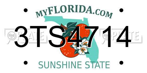 3TS4714 Florida License Plate