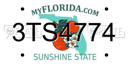 3TS4774 Florida License Plate