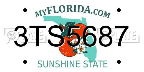 3TS5687 Florida License Plate