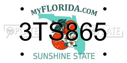 3TS865 Florida License Plate