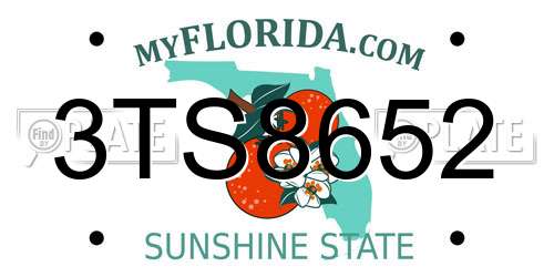 3TS8652 Florida License Plate