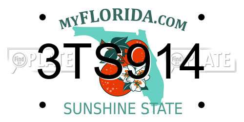 3TS914 Florida License Plate
