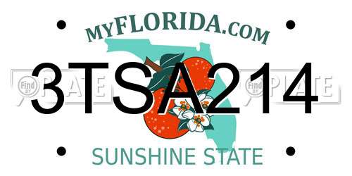 3TSA214 Florida License Plate