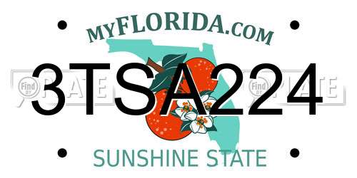 3TSA224 Florida License Plate