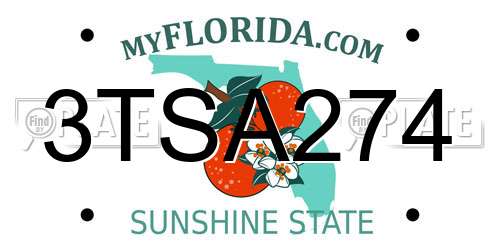 3TSA274 Florida License Plate
