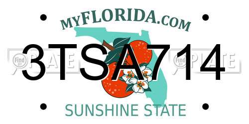 3TSA714 Florida License Plate