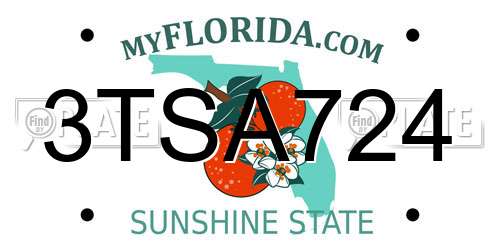 3TSA724 Florida License Plate