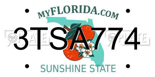 3TSA774 Florida License Plate