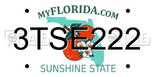 3TSE222 Florida License Plate