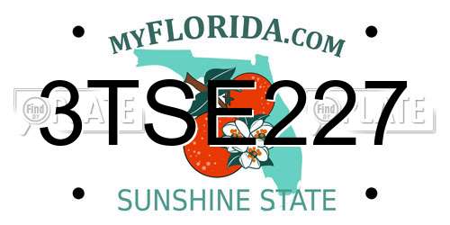 3TSE227 Florida License Plate