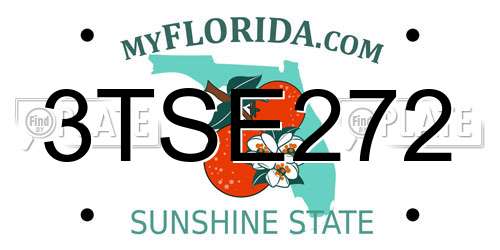3TSE272 Florida License Plate