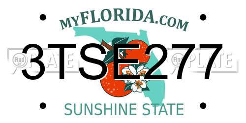 3TSE277 Florida License Plate