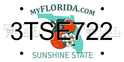 3TSE722 Florida License Plate
