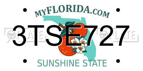 3TSE727 Florida License Plate