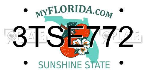 3TSE772 Florida License Plate