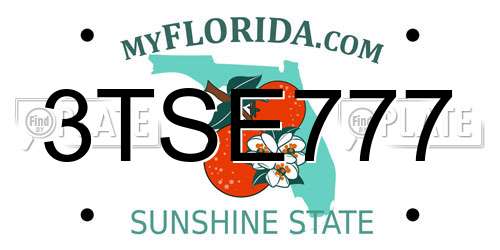 3TSE777 Florida License Plate