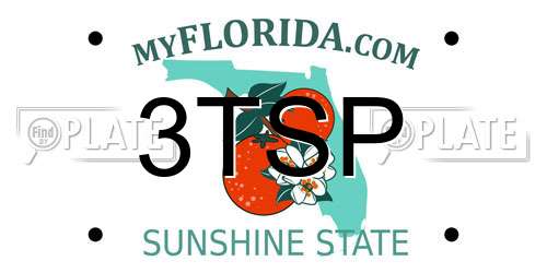 3TSP Florida License Plate