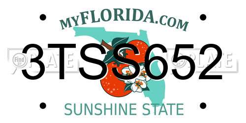 3TSS652 Florida License Plate