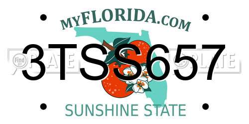 3TSS657 Florida License Plate