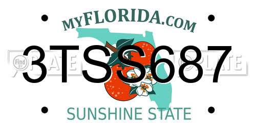 3TSS687 Florida License Plate