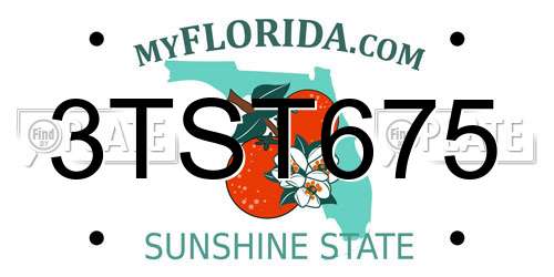 3TST675 Florida License Plate
