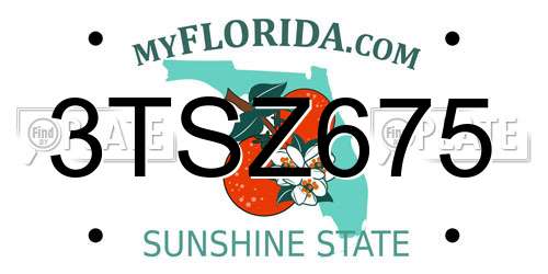 3TSZ675 Florida License Plate