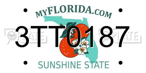 3TT0187 Florida License Plate