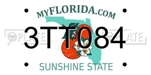 3TT084 Florida License Plate