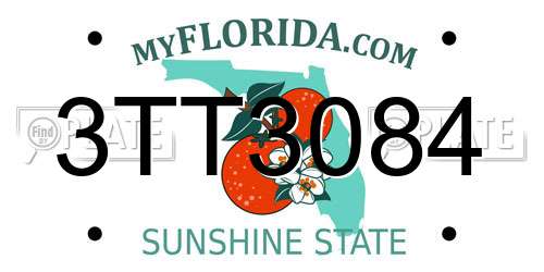 3TT3084 Florida License Plate