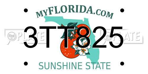 3TT825 Florida License Plate