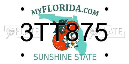 3TT875 Florida License Plate