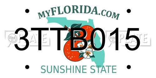 3TTB015 Florida License Plate