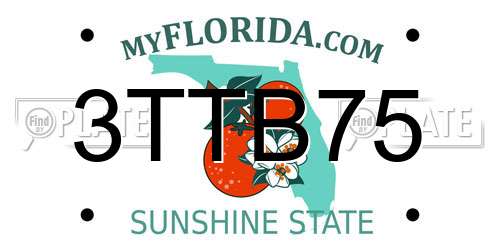 3TTB75 Florida License Plate