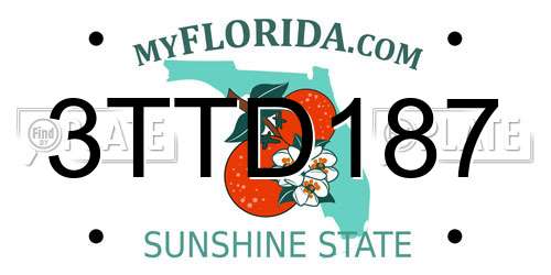 3TTD187 Florida License Plate