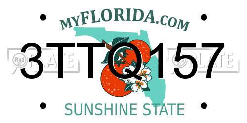 3TTQ157 Florida License Plate